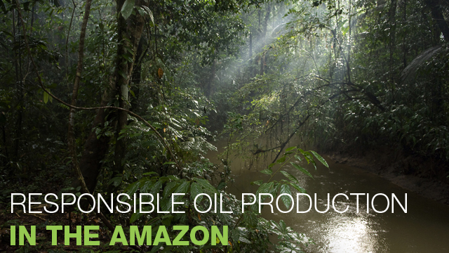 environment amazon 640x360