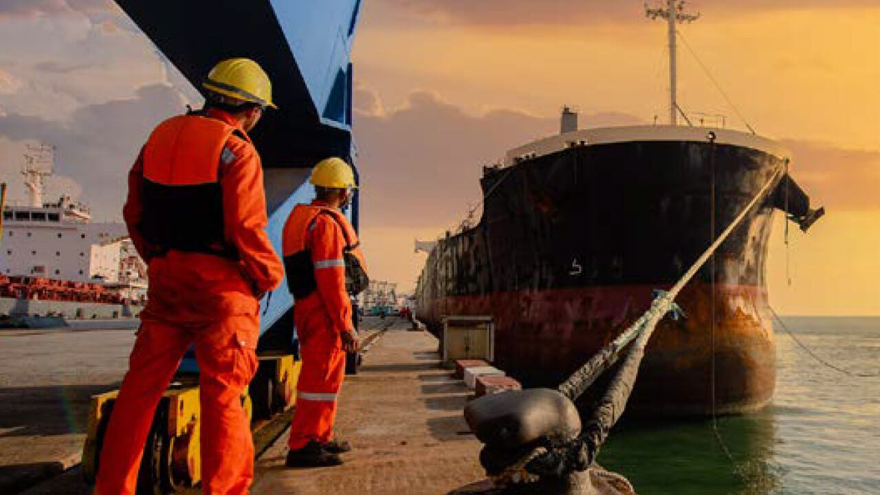 Service engineers ready to board a moored ship for inspection